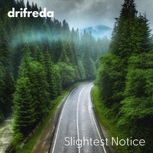 另类视频第一页
