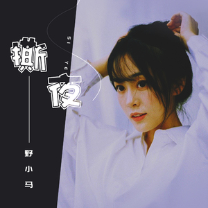 另类视频第一页
